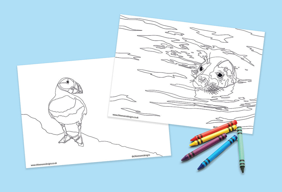 Mindful Moments by the Sea (or Kitchen Table) | Free Colouring Pages Inspired by Ocean Life