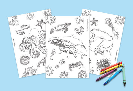 Deep Sea Creatures Colouring Pages Bundle