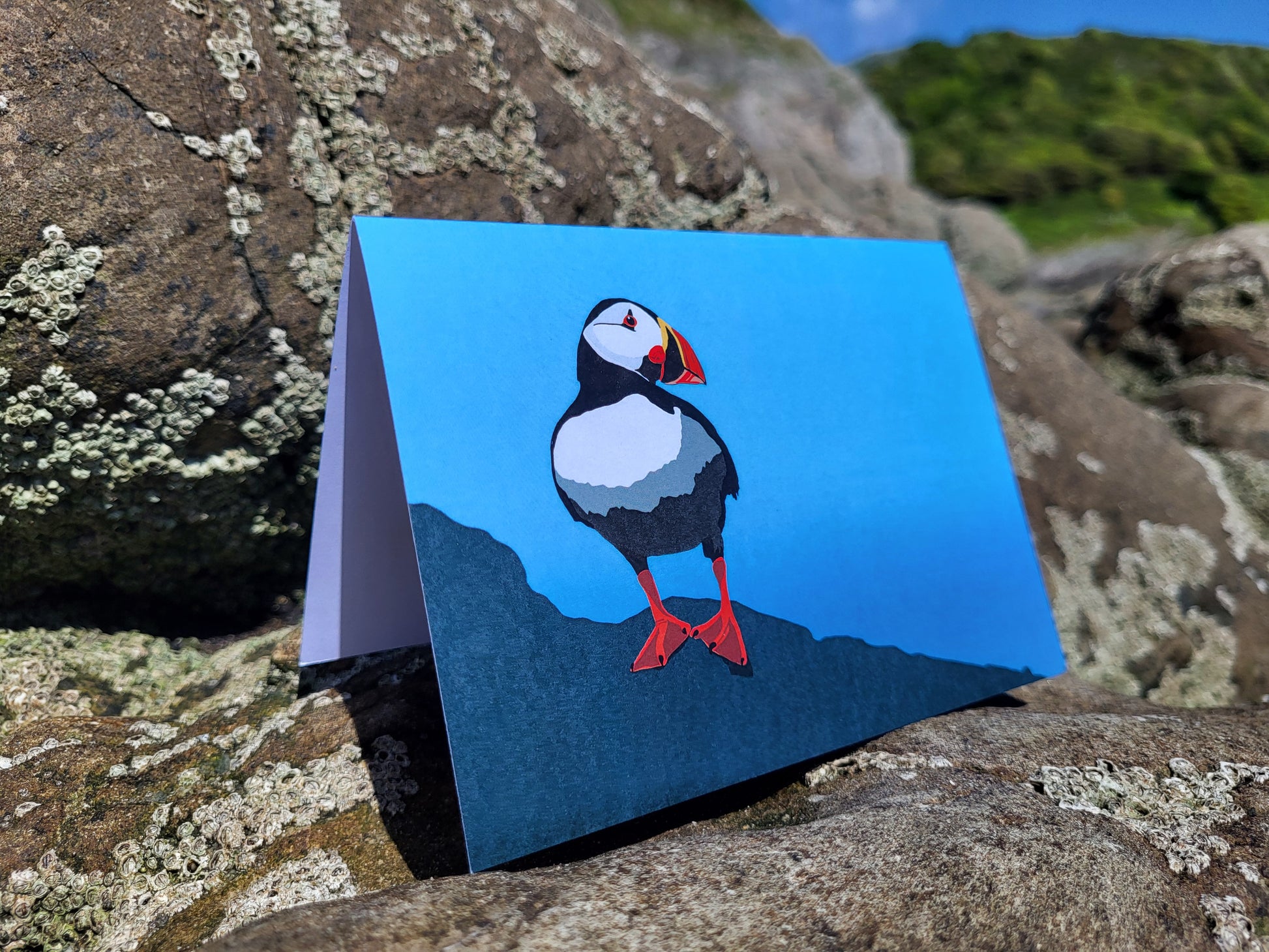 A photo of a greeting card with a puffin design, pictured on some rocks on the beach.